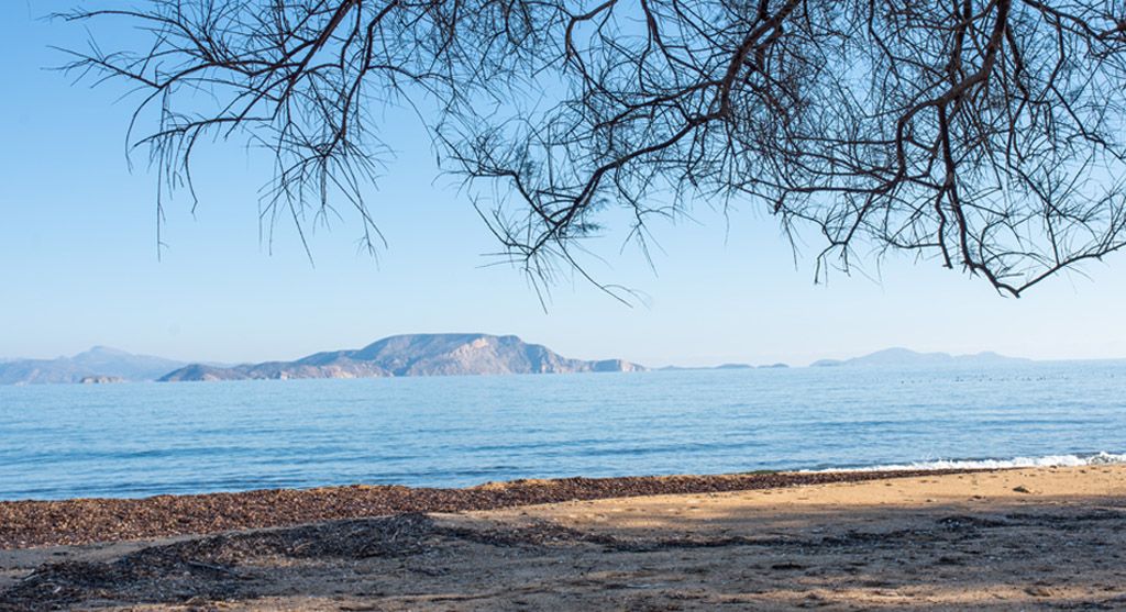 Beach image